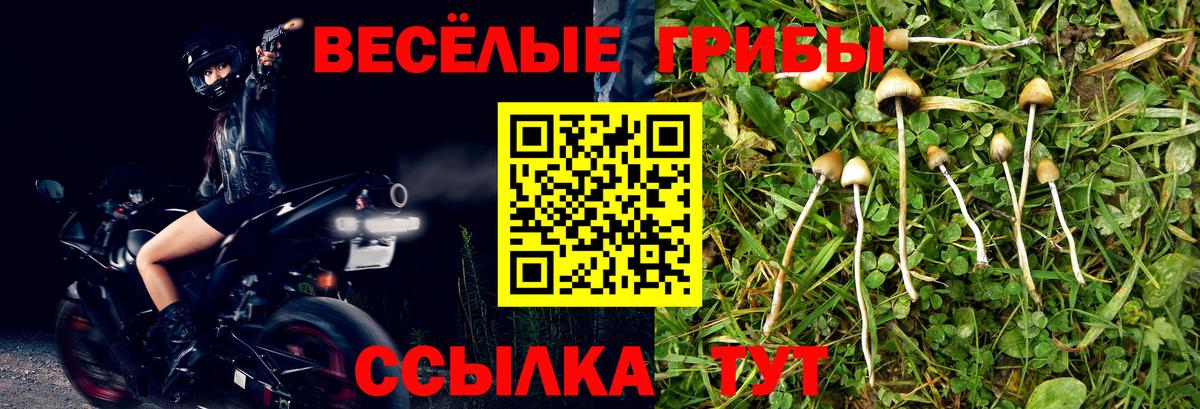 Туапсе  Галлюциногенные грибы мухоморы  Вход с VPN 